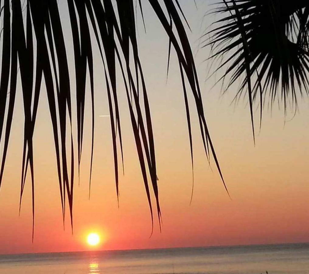 The Palms Resort-Oceanfront 미를 비치 외부 사진