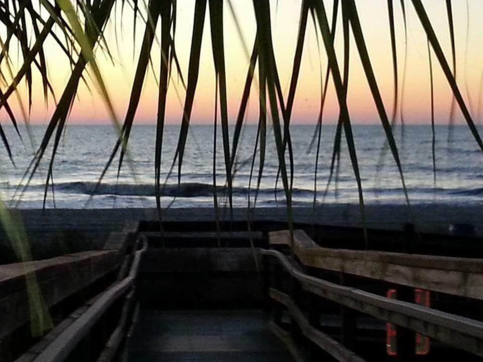 The Palms Resort-Oceanfront 미를 비치 외부 사진