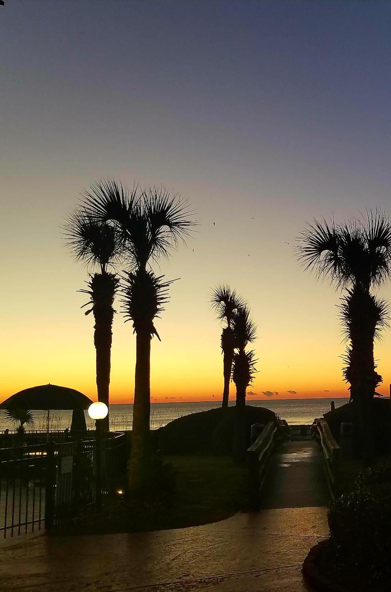 The Palms Resort-Oceanfront 미를 비치 외부 사진